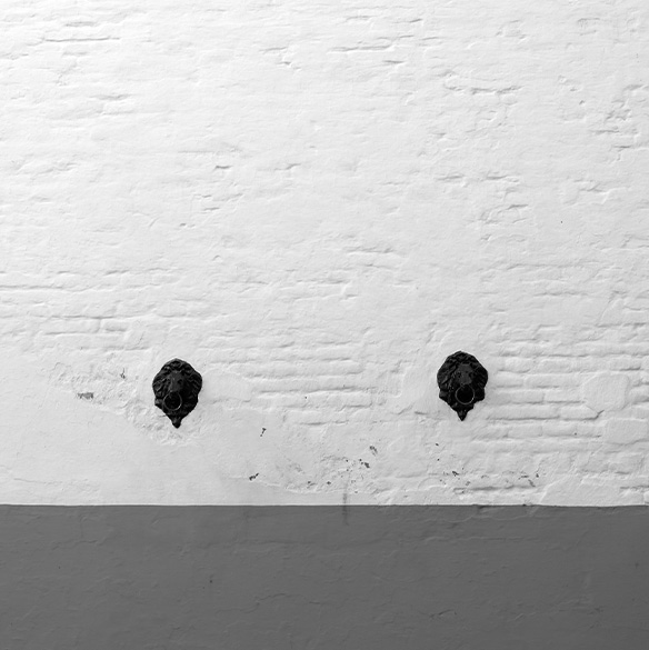 Pared